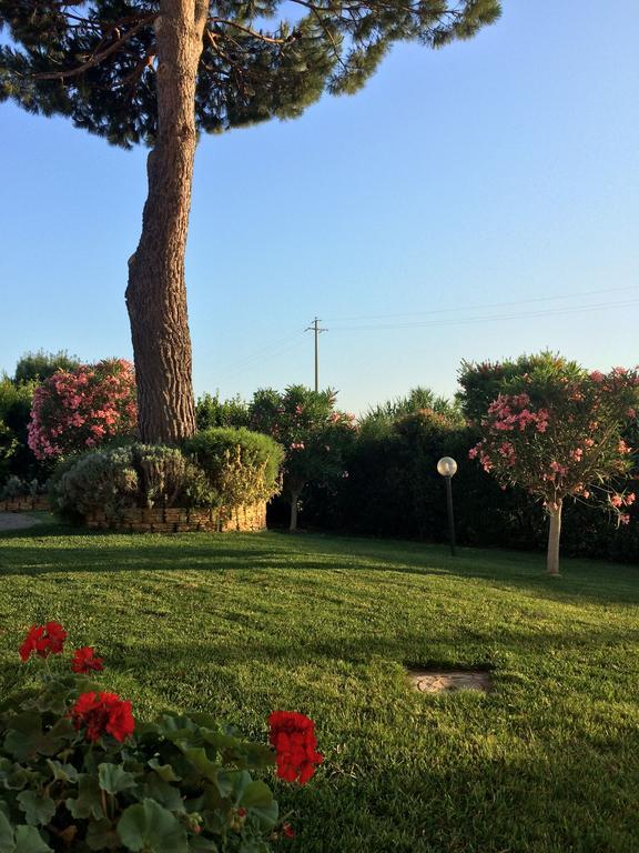 Agriturismo - B&B L'Acquacotta Castiglione della Pescaia Buitenkant foto