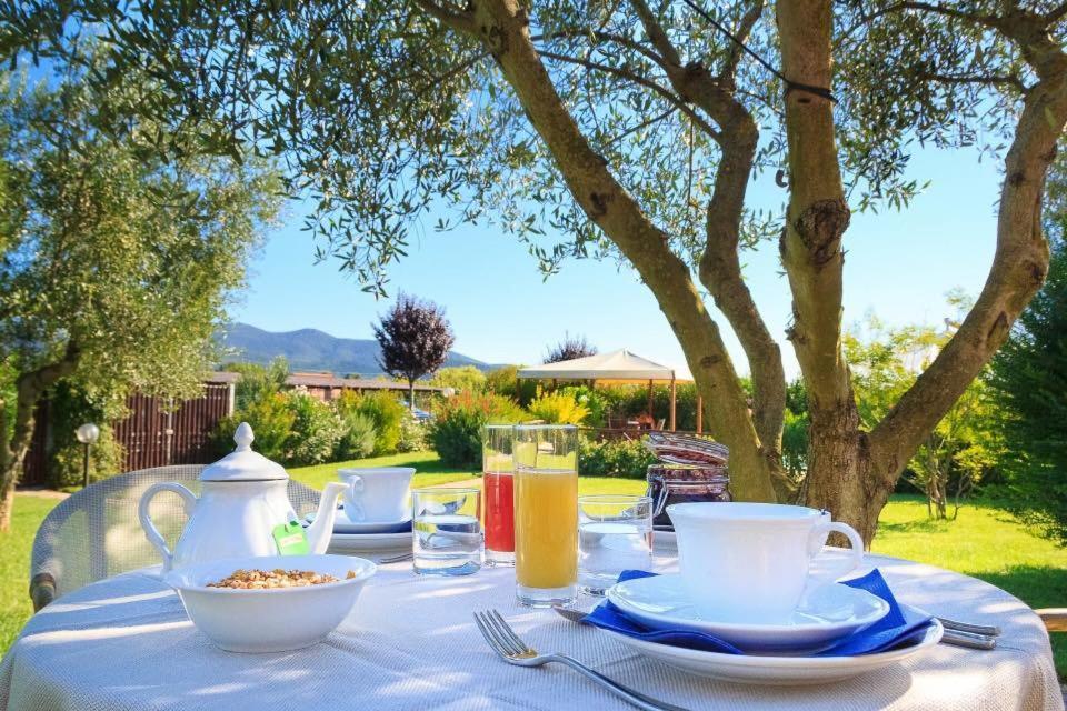 Agriturismo - B&B L'Acquacotta Castiglione della Pescaia Buitenkant foto